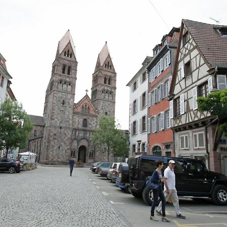 Gite Le Colombier Selestat - 30Min Europapark المظهر الخارجي الصورة